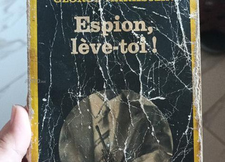 رواية série noire. Espion, lève-toi.  