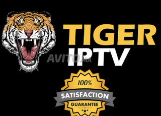 TIGER IPTV serveur de prestige 4K 50 FPS et FHD