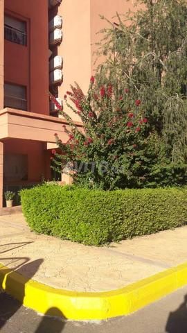 appartement au projet Alliances chouiter