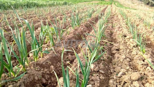 Terrain équipé à vendre, contactez-nous pour plus d'informations