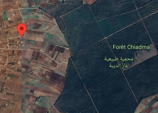 Vente d'un terrain agricole 