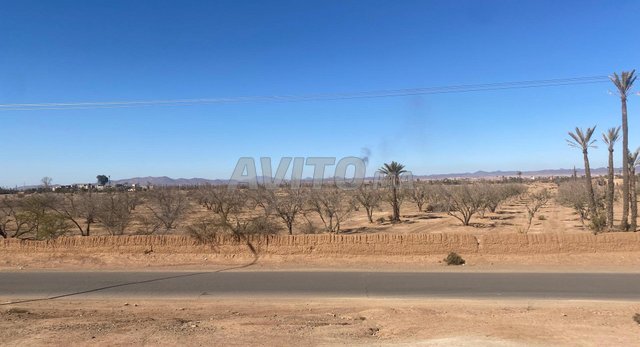 Bab Atlas – 11,7 ha Répartis sur 5 Titres Foncier