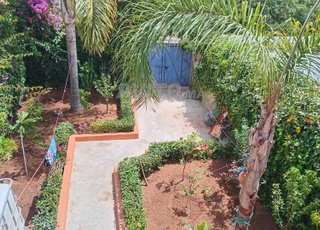 منزل الكراء في الوليدية