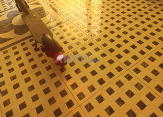 تروتينيت شيومي برو ٢