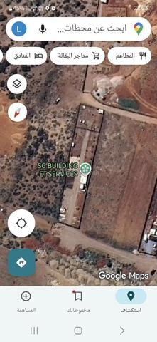 تامسنا تريق سوق الأحد  - 2