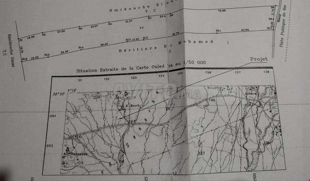 Terrain constructible de 3 852 m²-façade sur route