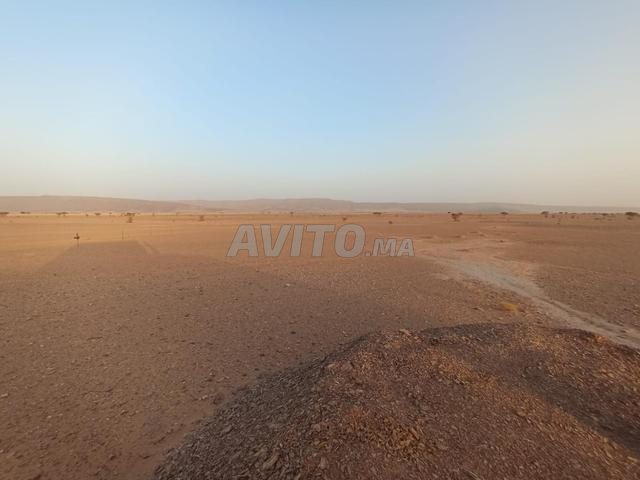 Terrain 208 hectares à vendre à Tata