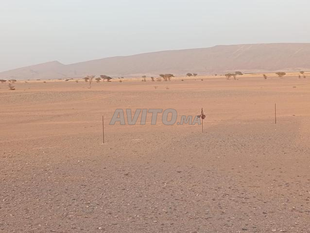 Terrain 208 hectares à vendre à Tata