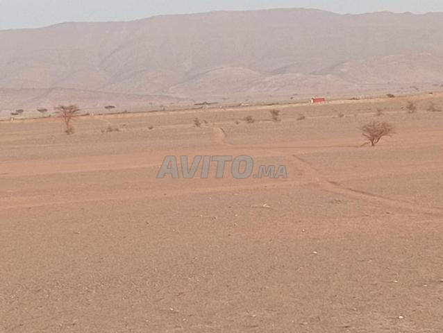 Terrain 208 hectares à vendre à Tata