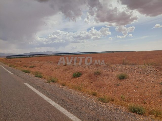 فرصة استثمار فلاحية ببومية إقليم ميدلت بثمن مغري