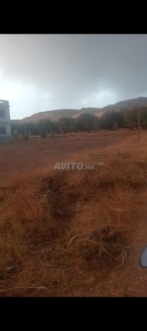 دوار ايت حمو اعبد السلام طريق بني ملال 