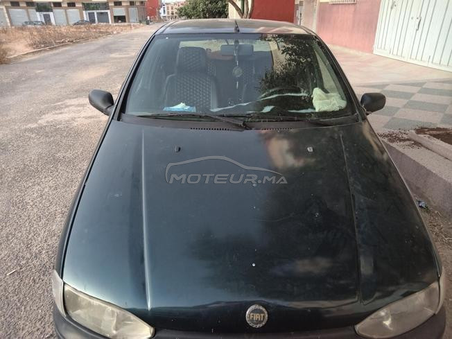 fiat palio