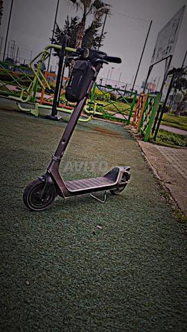 trotinette
