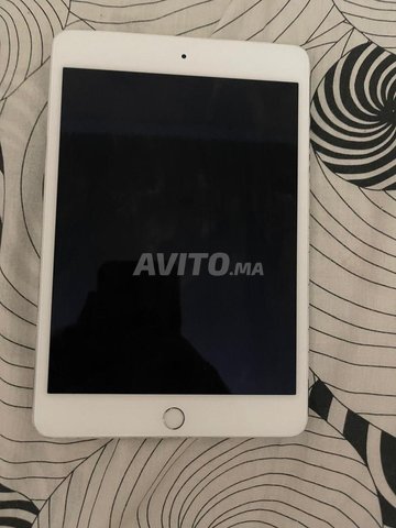 Ipad mini 4 carte sim Ipad mini 4 wifi  Baypass