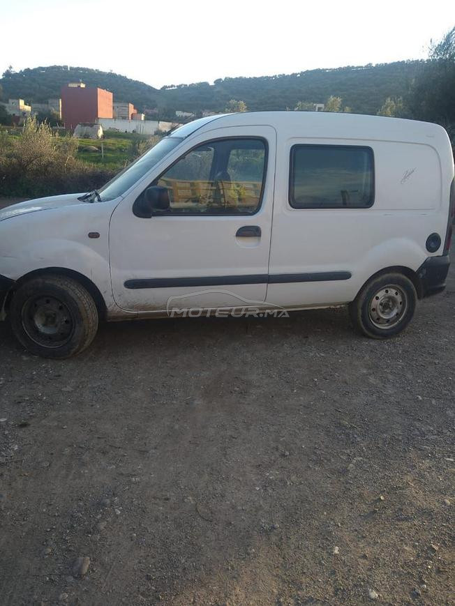 kangoo