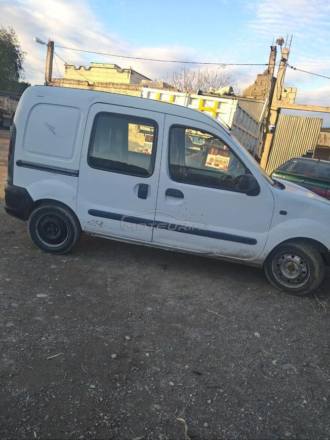 kangoo
