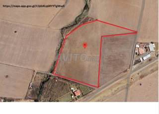 terrain agricole à vendre--أرض فلاحية للبيع