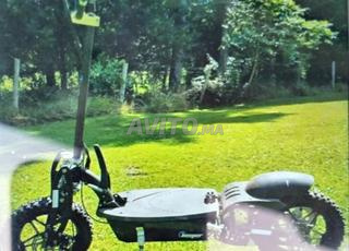 trotinette électrique 