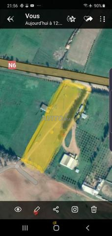 Terrain 1 hectare à vendre rabat vers tifelt - 2