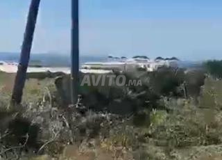 أرض للبيع في جبيلا مطلة على البحر تمن 1700 