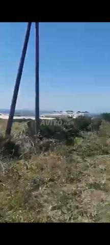 أرض للبيع في جبيلا مطلة على البحر تمن 1700 