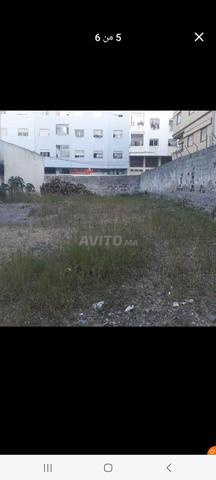 Terrain à vendre à Avenue Fayçal Ibn Abdelaziz prix 4300 mètres - 2