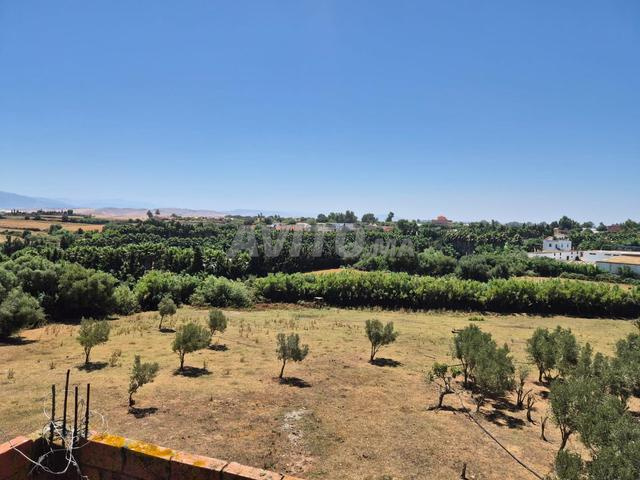 Ferme titrée idéale pour projet d’écotourisme - 2