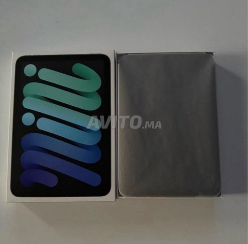 ipad mini 7 A17 pro 256 go wifi cellular
