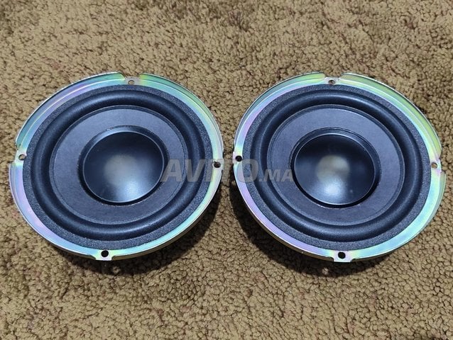 2 woofer marque Bose 
