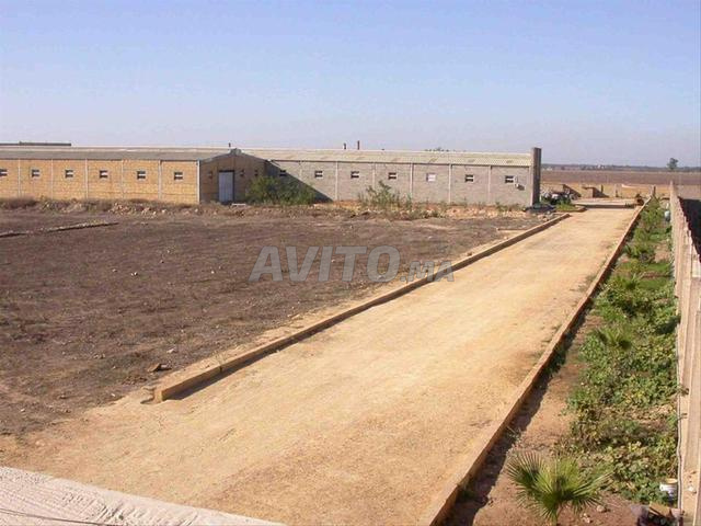 usine et terrain a vendre 60000m² - 2