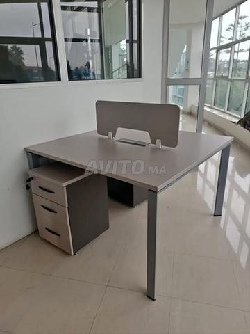 Marguerite 120 cm d'importation nouveau arrivage