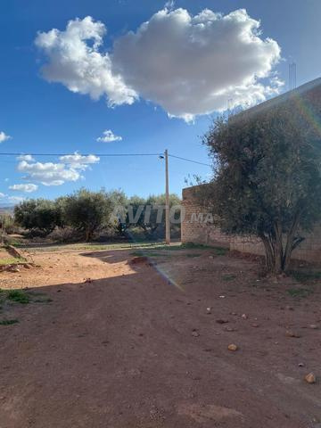 lot terrain à ait ourir  - 2