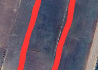 ferme avec olive a vendre