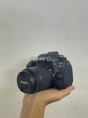 canon 80d 