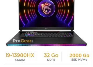 MSI Raider GE78HX 13VI