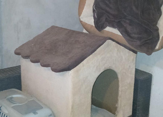 لوازم القطط و الكلاب للبيع