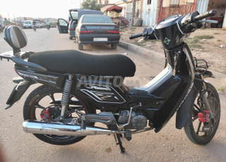 becane 33 kosan twil modil 2022