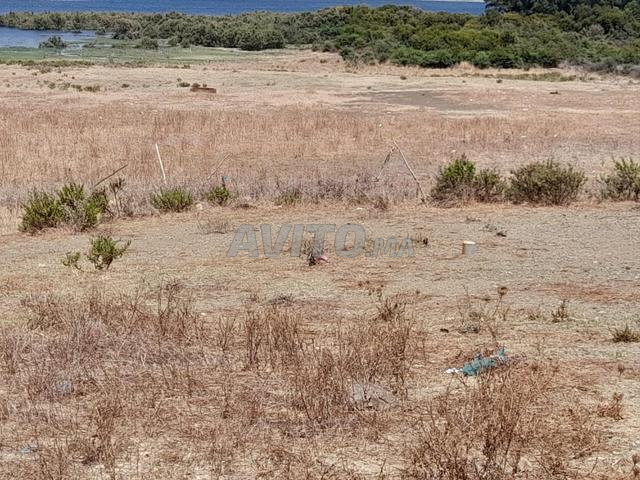 ارض للبيع عدلية فيها 200 متر عندا 2 فرشادات