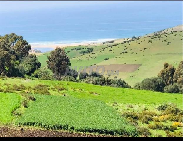 الارض للبيع سياحية بقرب مدينة أصيلا - 2