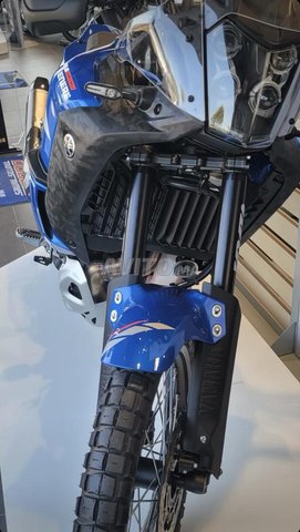 tenere 700 world raid 2025