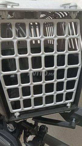 Cage pour chat/chaton et petit chien/chiot