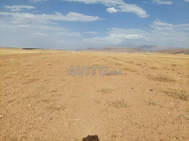 فرصتك للاستثمار بين كبار الفلاحين