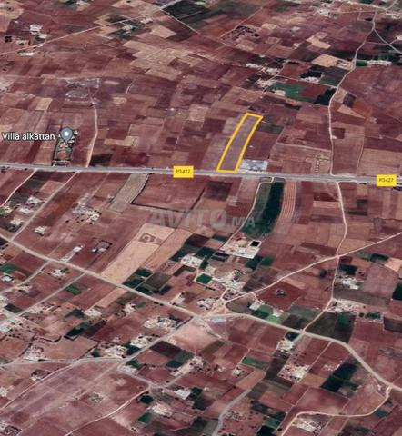 ارض للبيع terrain à vendre 11000 m2 - 2