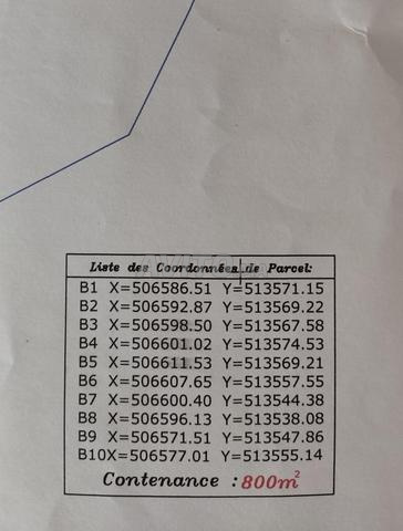 أرض محفظة للبيع - شفشاون | Terrain titré à vendre - 2