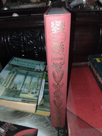 Émile Zola, Germinal 