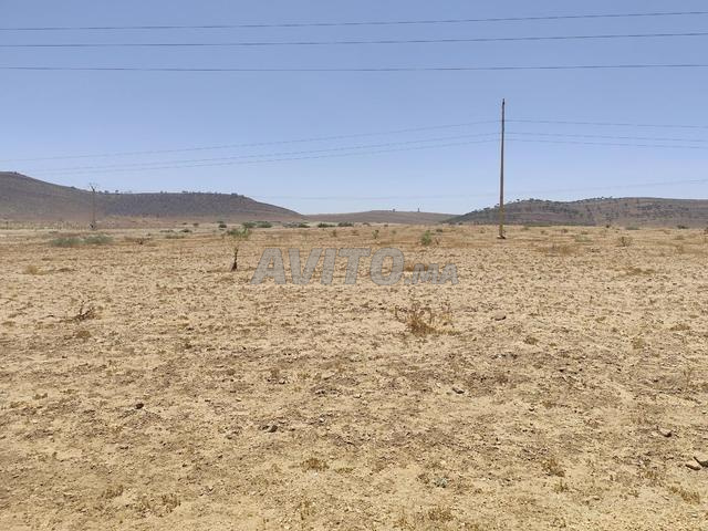 terrain 2 hectar à Oujda route de twiset 