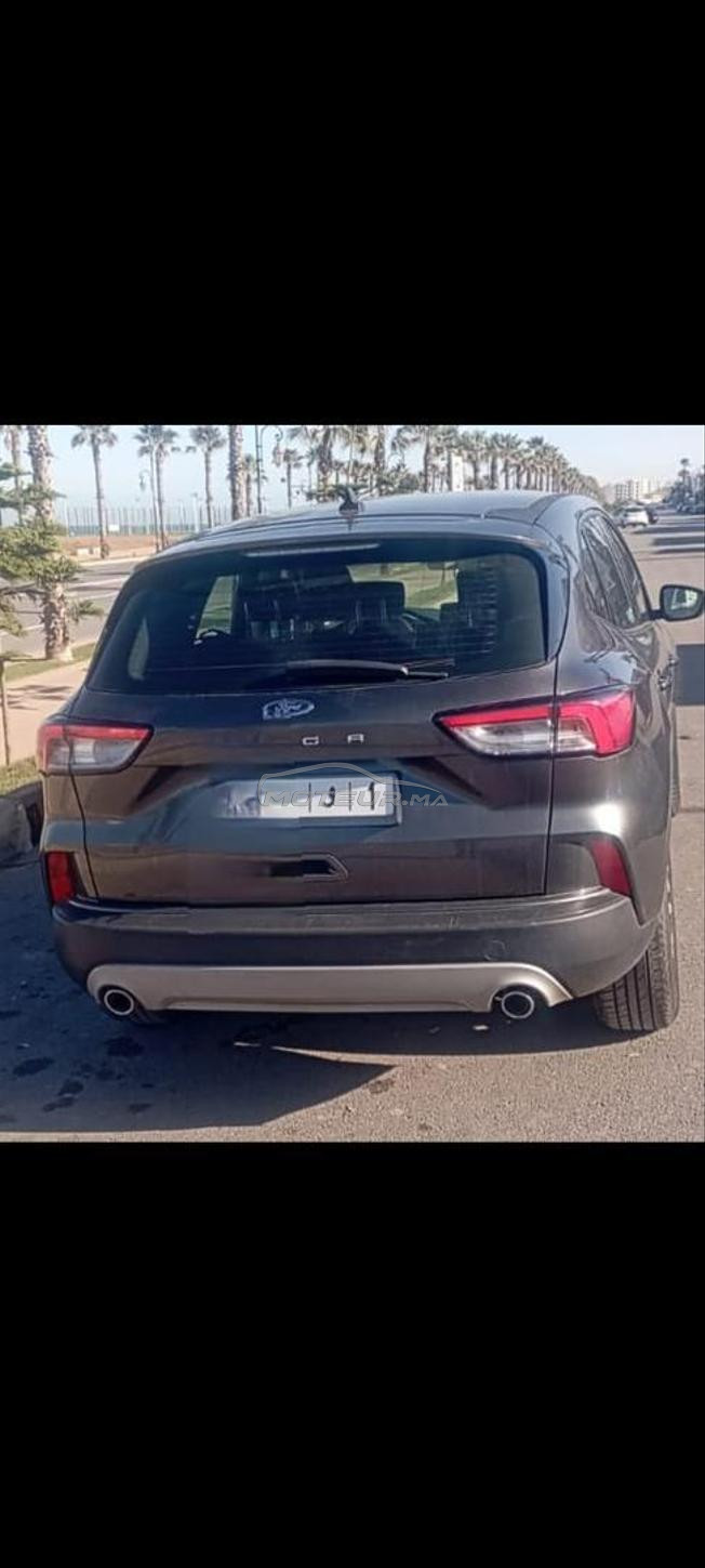 Excellente F.kuga 