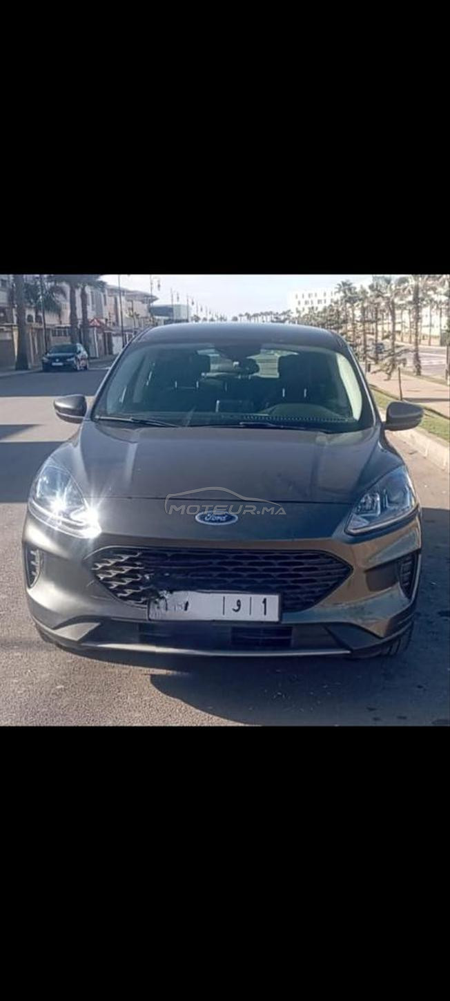 Excellente F.kuga 