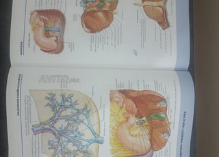 Atlas d'anatomie 