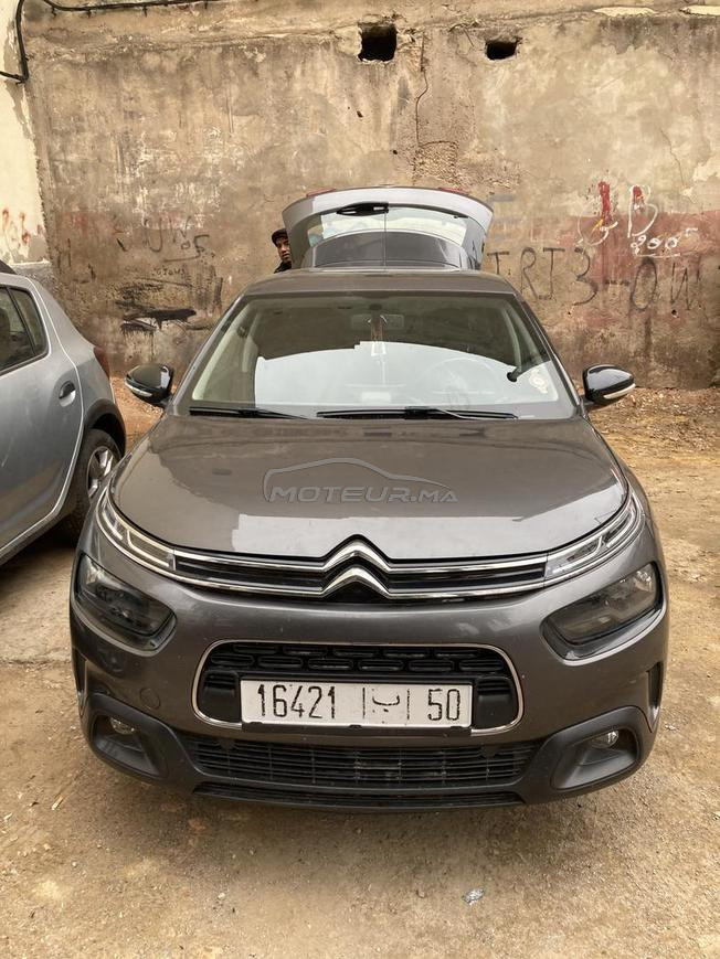 c4 cactus 2019